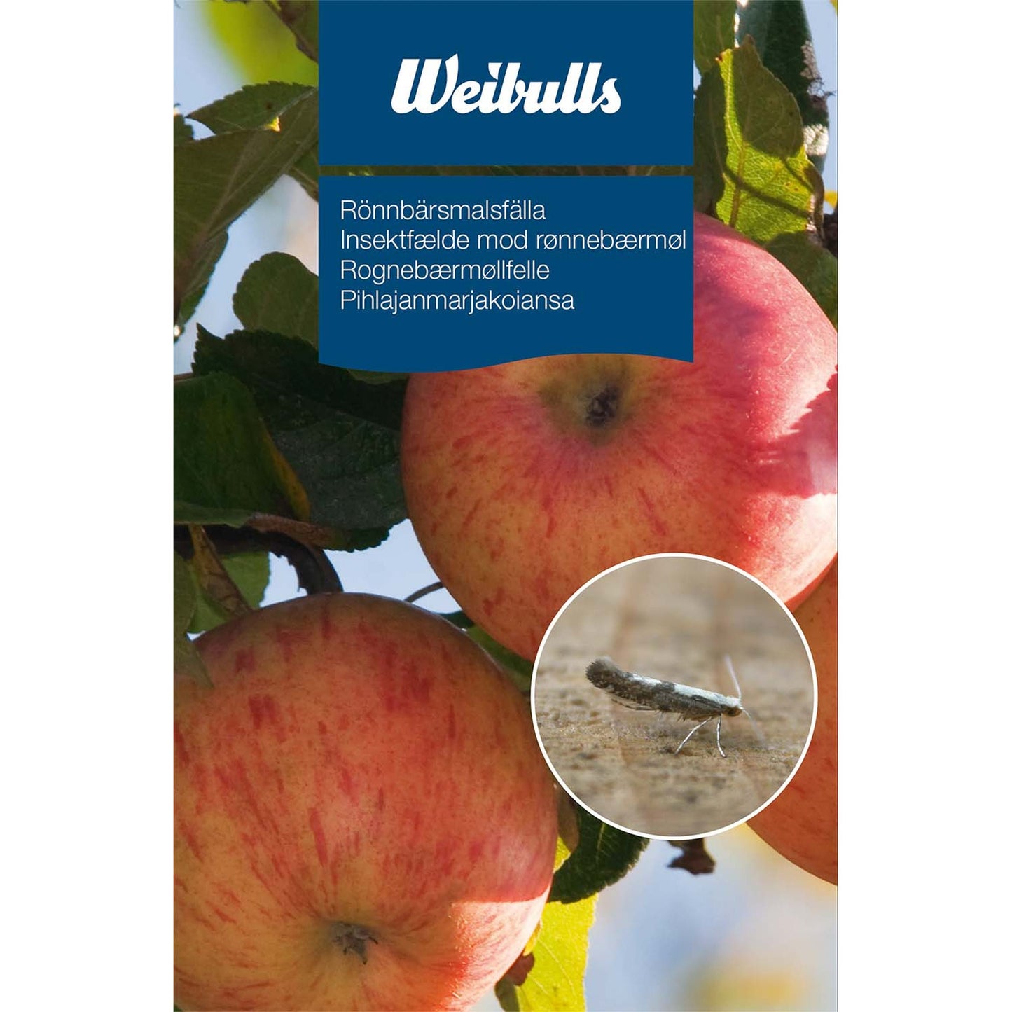 Weibulls Rönnbärsmalsfälla 8/krt