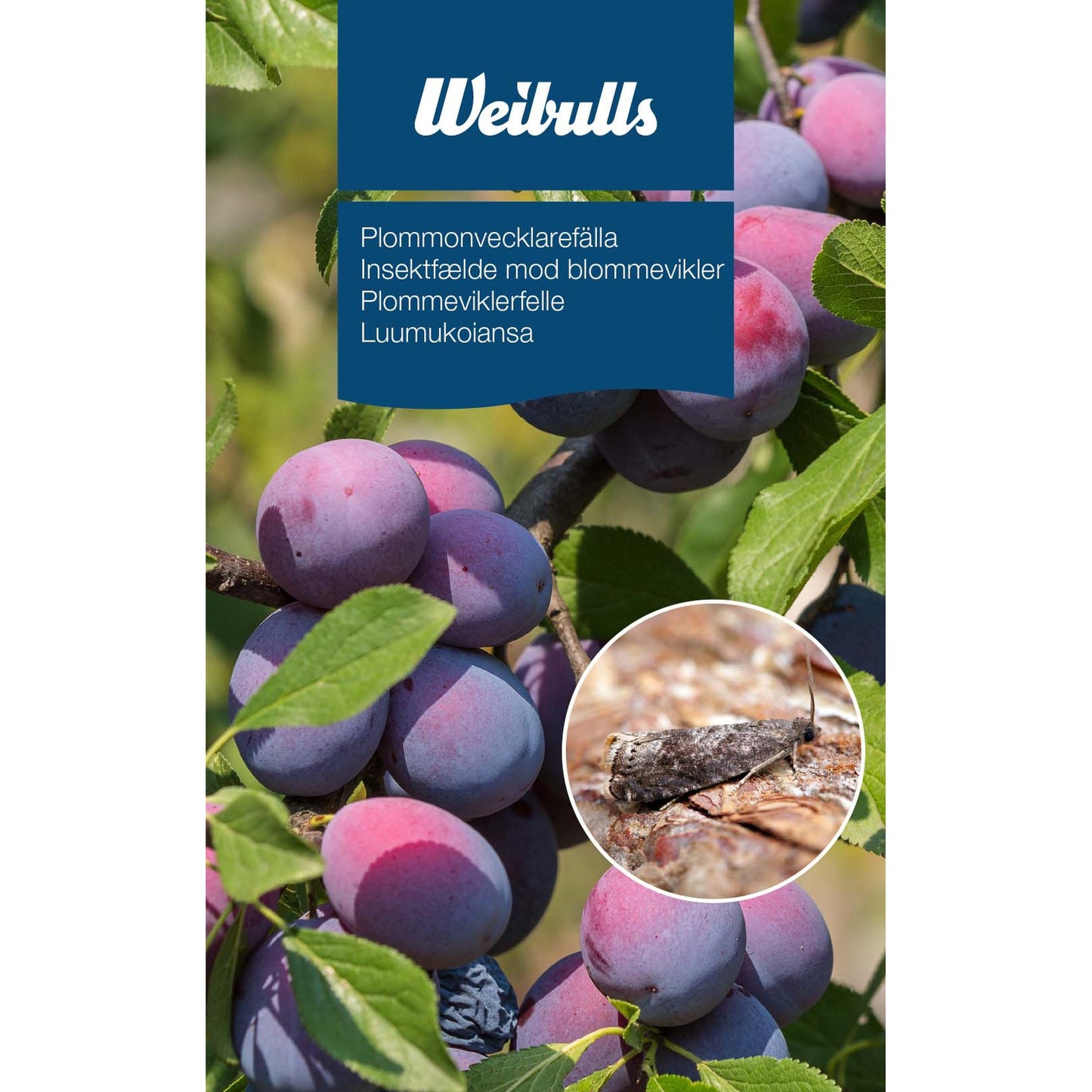 Weibulls Plommonvecklarfälla 8/krt se/dk/fi/no